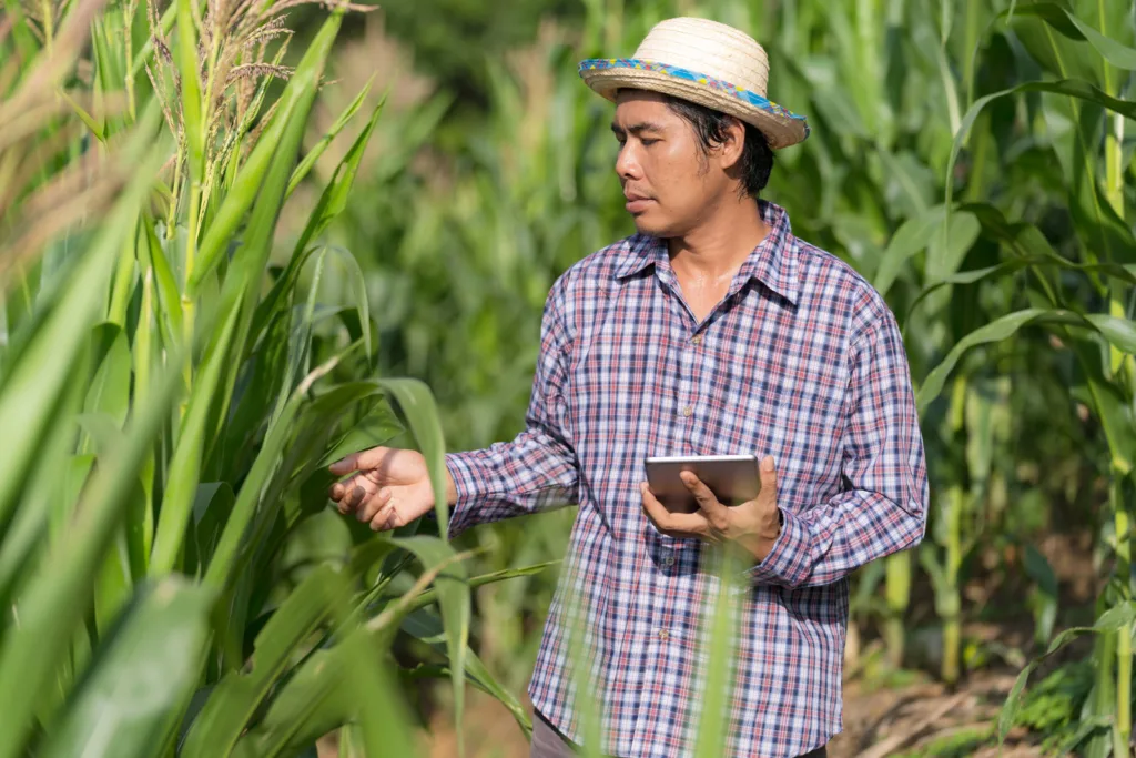 AI in agriculture